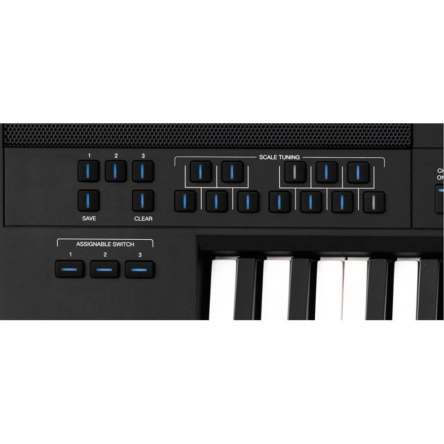 Medeli DANTE-ZEN Arranger Pro Series Oriental-Arabic Workstation