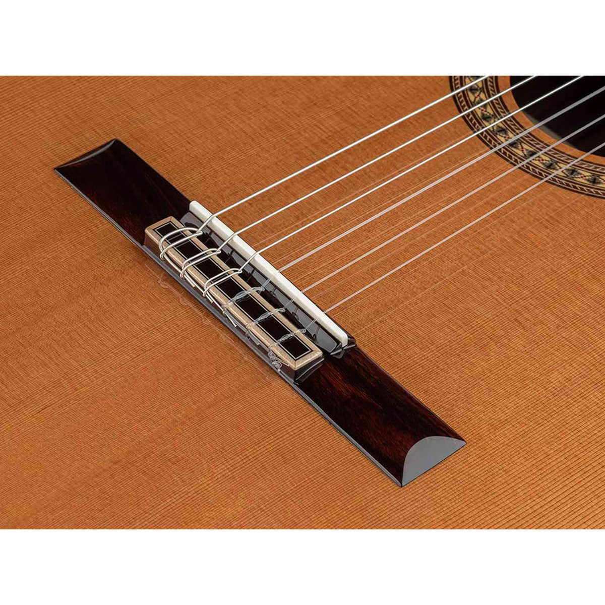 Salvador Cortez CC-6048CE klassieke gitaar massief ceder bovenblad, 48mm hals, Fishman Presys I
