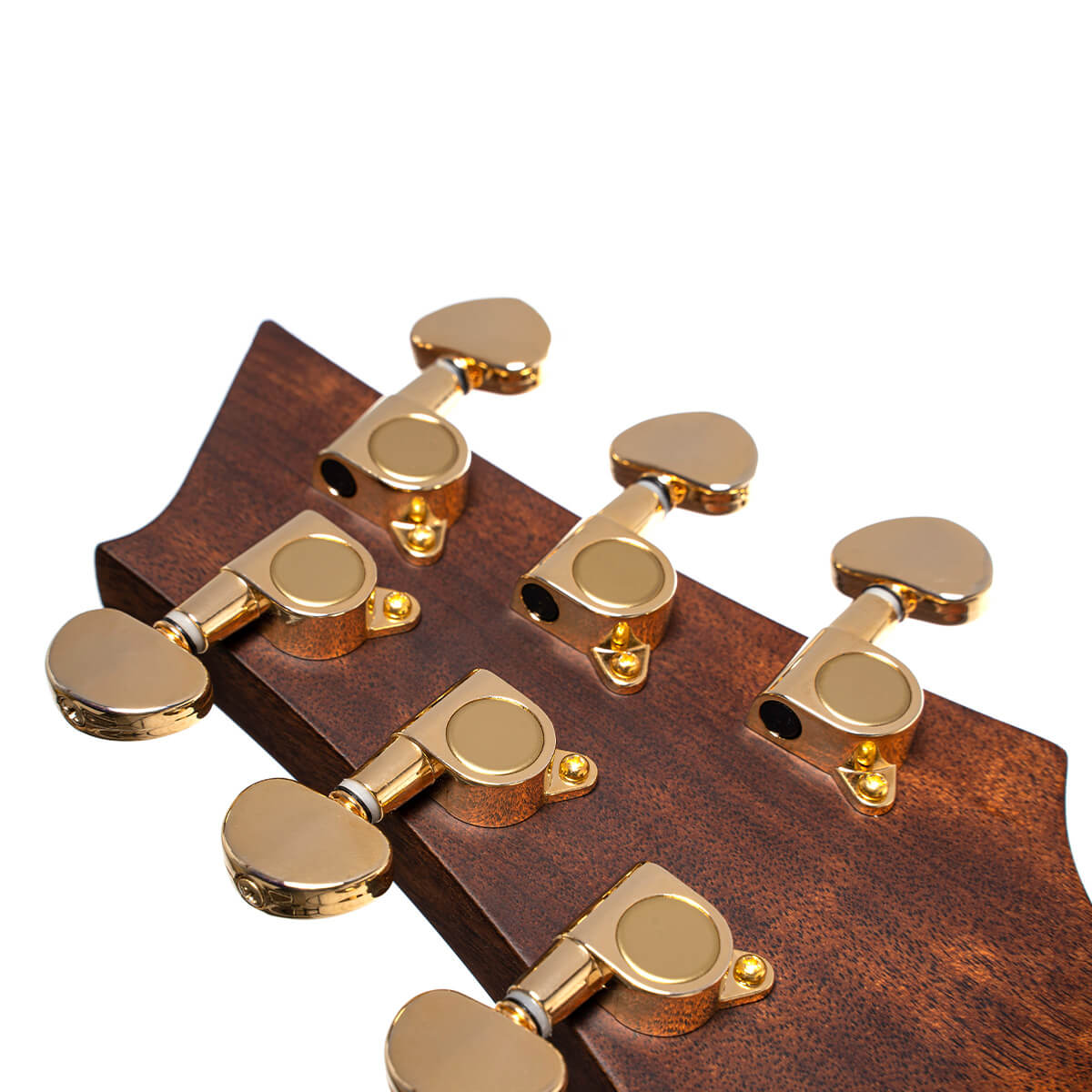 Cort Luxe II Frank Gambale Signature – Massieve Adirondack Top, Flamed Blackwood & Fishman Flex Blend
