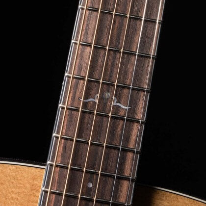 Cort Gold-OC6 – Massief Mahonie, Torrefied Sitka & Fishman Flex Blend