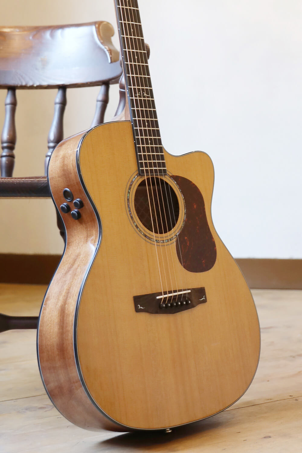 Cort Gold-OC6 – Massief Mahonie, Torrefied Sitka & Fishman Flex Blend