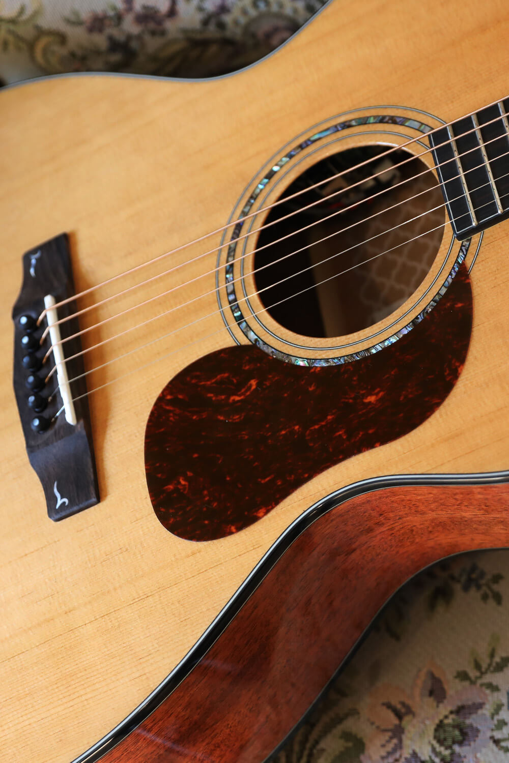Cort Gold-OC6 – Massief Mahonie, Torrefied Sitka & Fishman Flex Blend