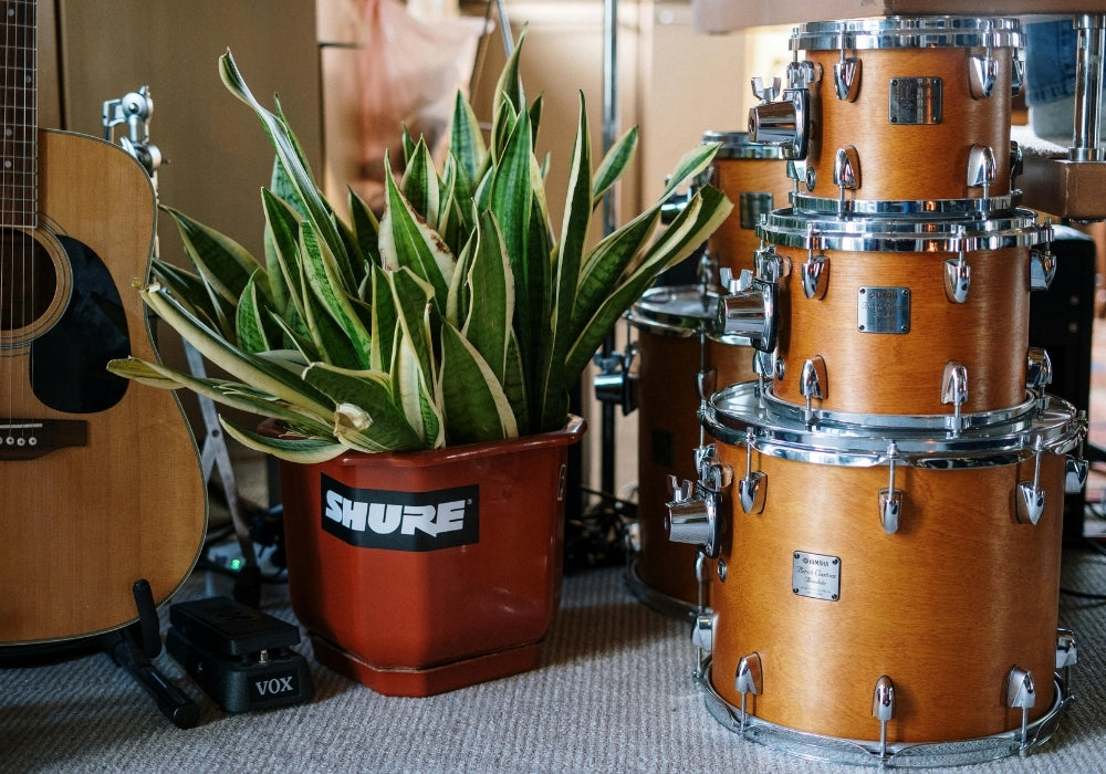 Welk muziekinstrument past bij mij? Ontdek het perfecte instrument voor jouw muziekstijl