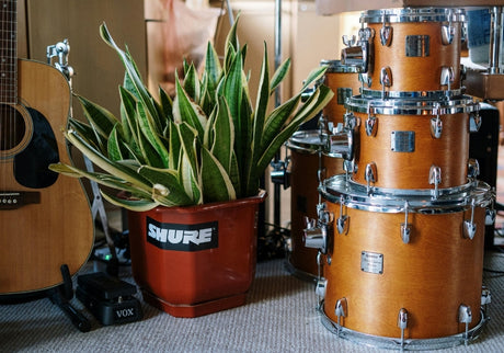 Welk muziekinstrument past bij mij? Ontdek het perfecte instrument voor jouw muziekstijl