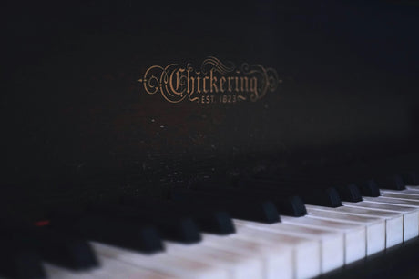 Soorten Piano's en Keyboards: Welke Past Bij Jou?