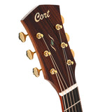 Cort Gold-A10 Cocobolo – Massief AAA Cocobolo, Torrefied Adirondack & Fishman Flex Blend