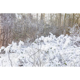 beamZ Pro SNOW 5000 Professionele Hoogvolume Sneeuwmachine met DMX – 20L Tank