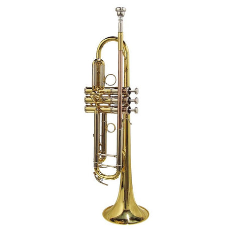Stewart Ellis SE-2400-L Pro Series trompet goudlak incl. softcase