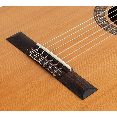Salvador Cortez CC-22-JR Klassieke Gitaar – Solid Top Artist Series Junior 3/4