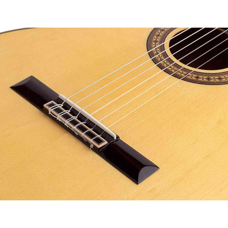 Salvador Cortez CS-60CE – Klassieke gitaar met massief spruce bovenblad, cutaway, Fishman elektronica en gigbag