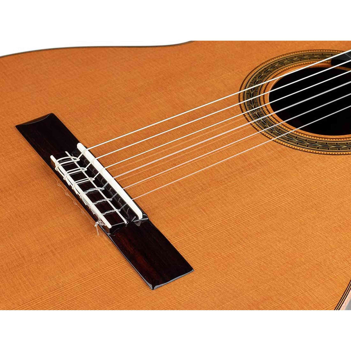 Salvador Cortez CC-140 – Klassieke gitaar met massief ceder bovenblad en driedelige palissander/esdoorn achterzijde
