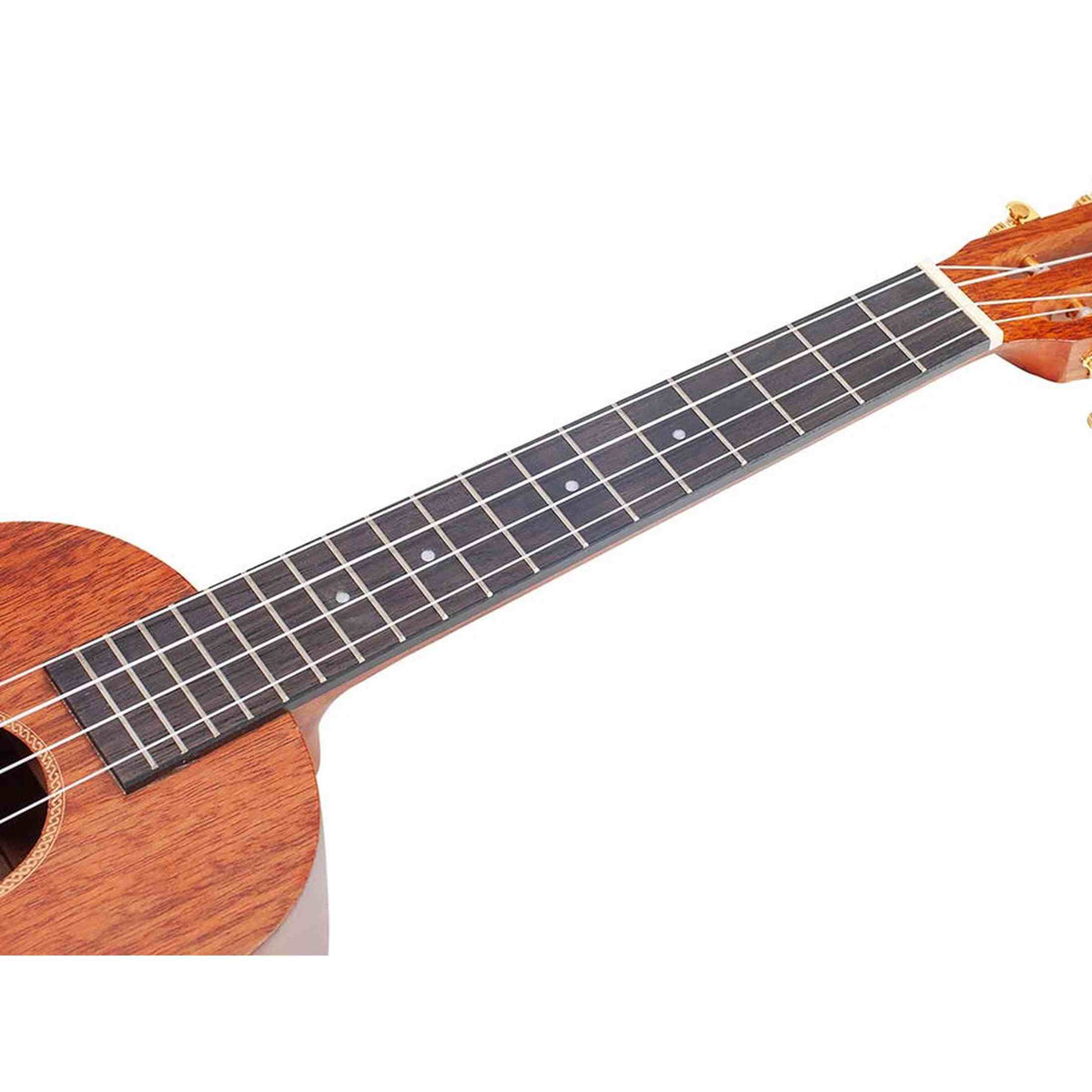 Mahalo MJ3TBR Java Series Tenor Ukulele Transparant Bruin