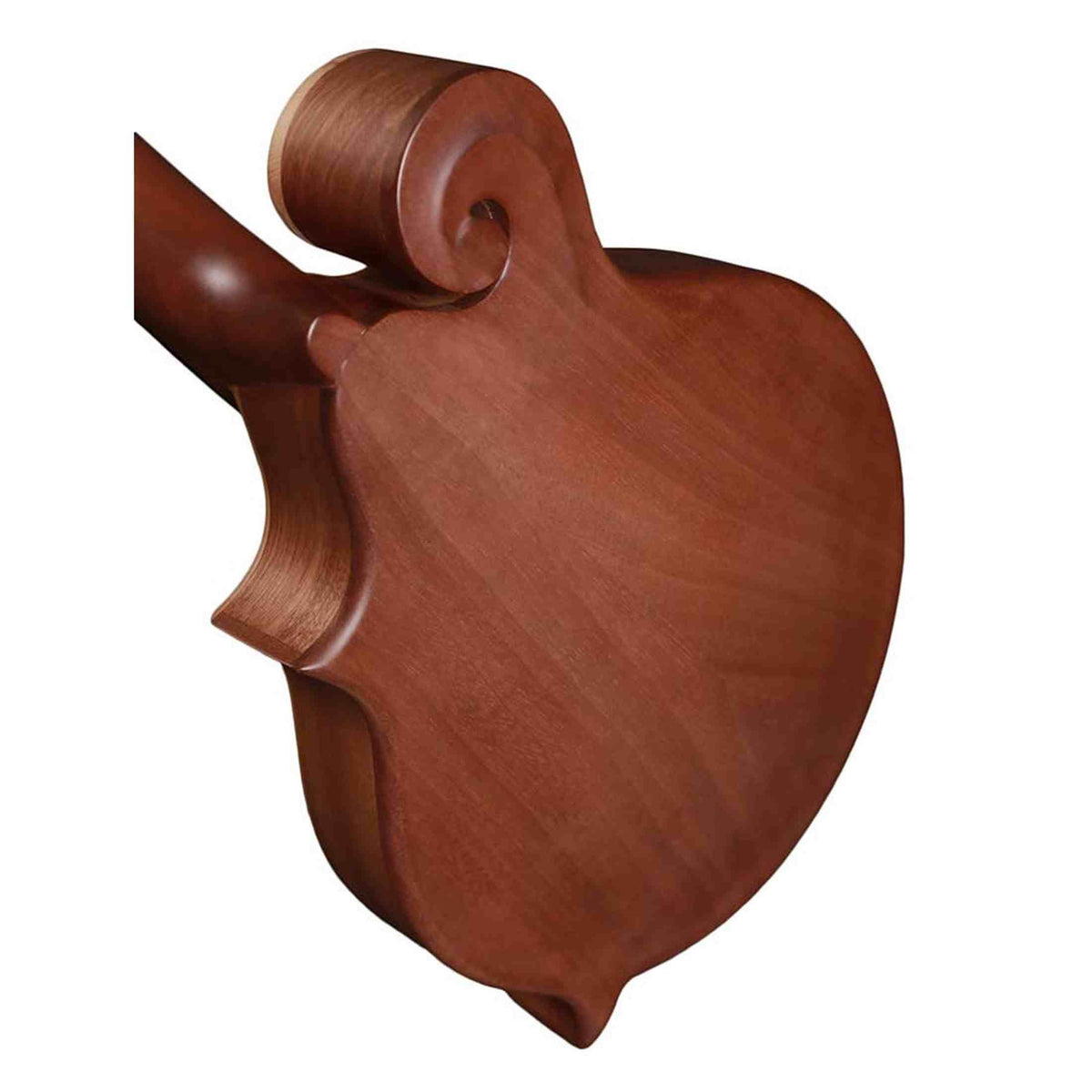 Richwood RMF-80-NT F-Style Mandoline – Massief Sparren & Mahonie, Naturel Satijn