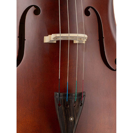 Leonardo LC-1312 cello 1/2, laminated with flamed back & sides, ebony fittings, bag and bow
