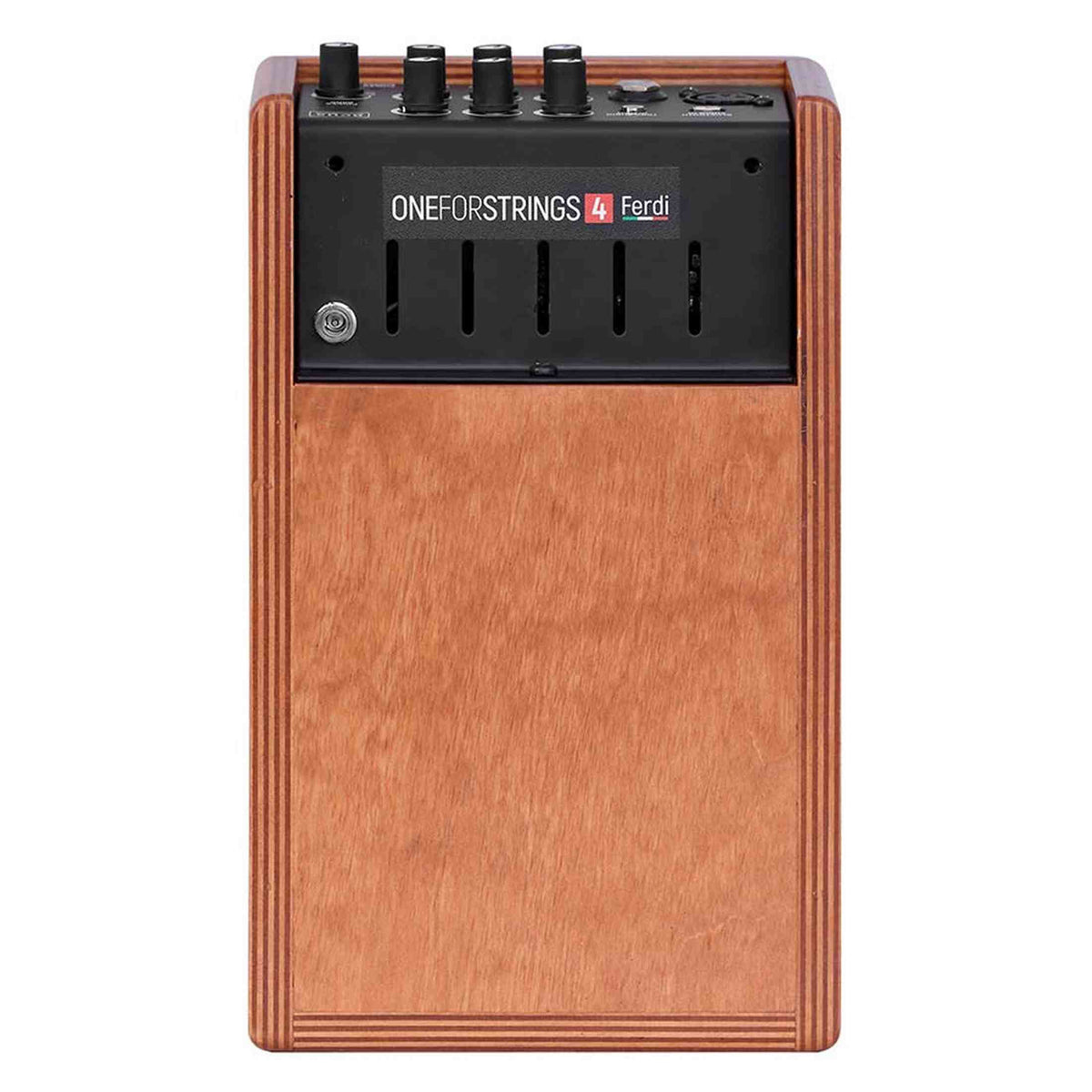 Acus ONE-4F akoestische instrumentenversterker 50W 1 kanaal naturel