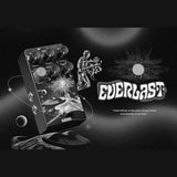 Klowra KBS-02 Bloom Infinity EVERLAST stereo multi-type delay pedaal
