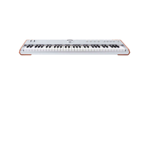 Arturia AstroLab 61 Silver Limited Edition Stage Keyboard