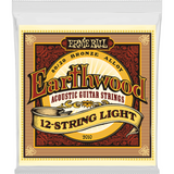 Ernie Ball 2010 Earthwood Akoestische Gitaar Snaren 12-String Light 009–046 80/20 Bronze