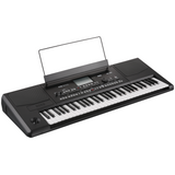 KORG PA300 Entertainer Keyboard – 61 toetsen, RX sound engine, 5" touchscreen