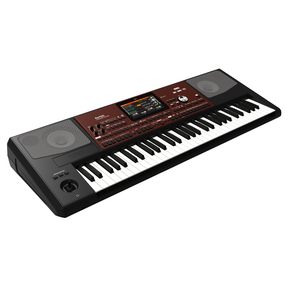 KORG PA700 Entertainer Keyboard – 61 toetsen, RX & DNC sound engine, 370 styles