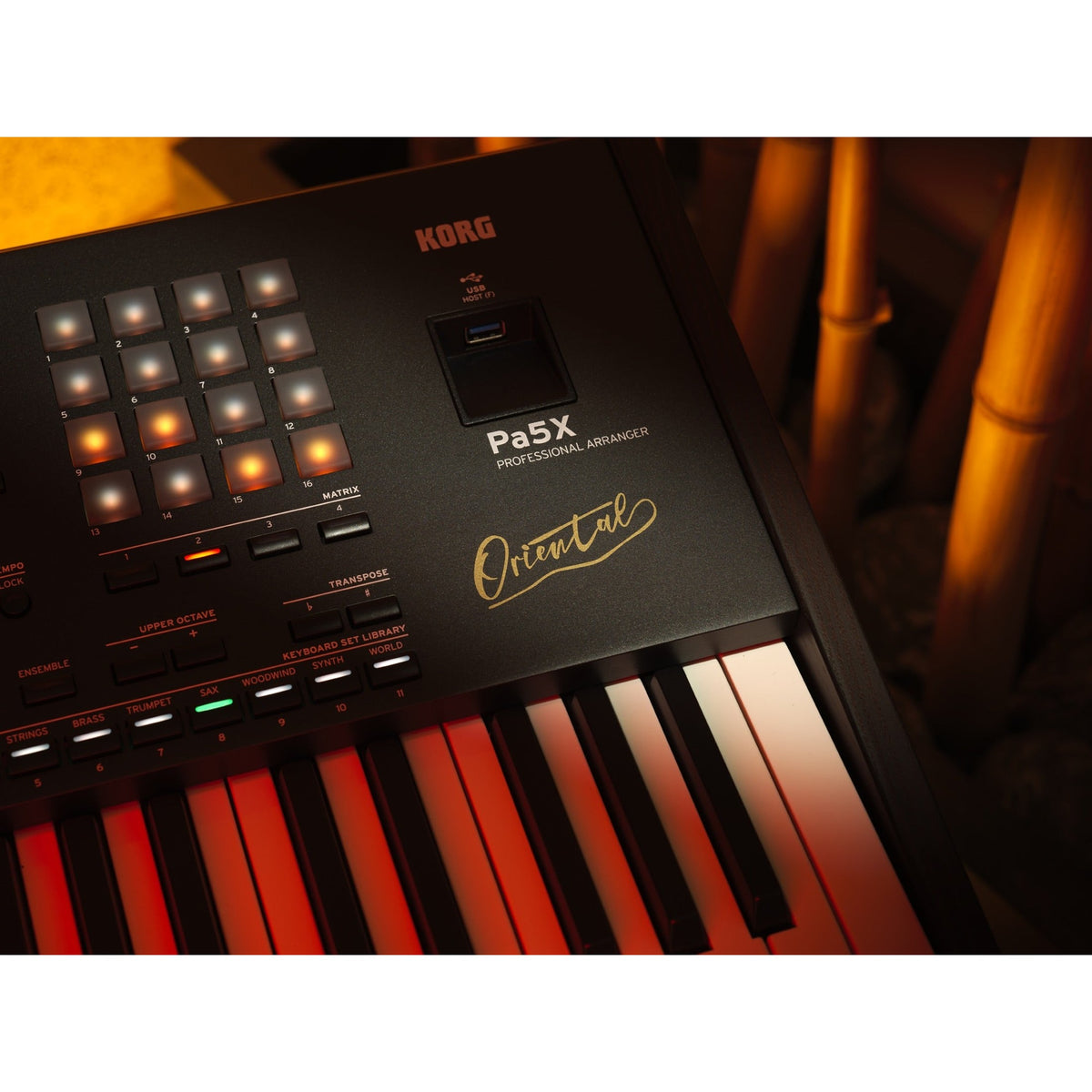 Korg Pa5X 61 ORIENTAL Arranger Keyboard met Aftertouch en Oosterse Sounds
