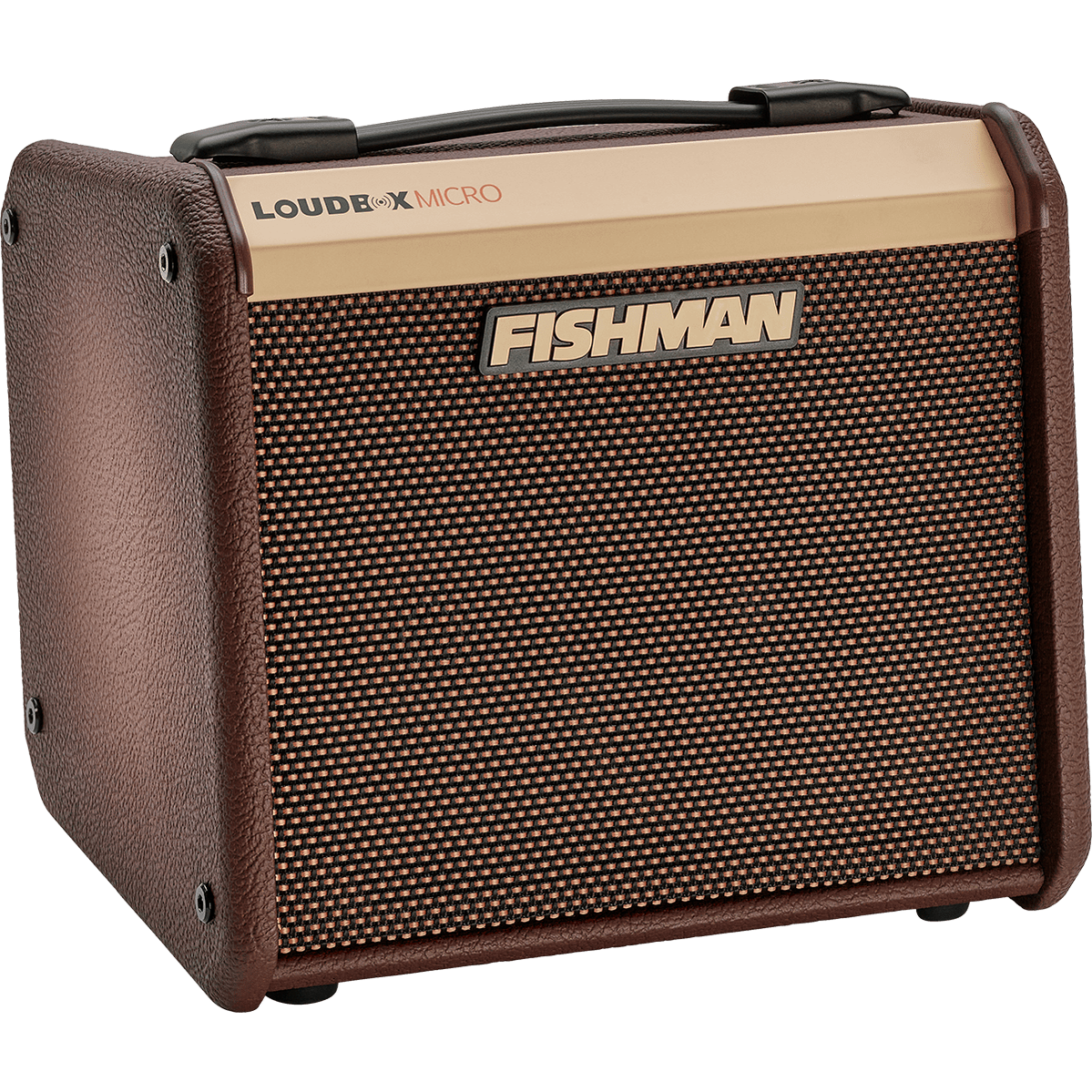 Fishman Loudbox Micro PRO-LBT-400 Akoestische Gitaarversterker - 40W