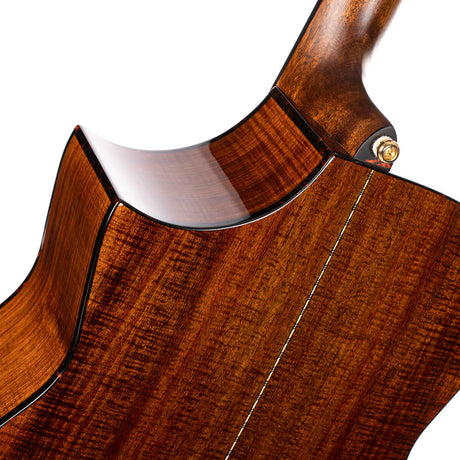 Cort Luxe II Frank Gambale Signature – Massieve Adirondack Top, Flamed Blackwood & Fishman Flex Blend