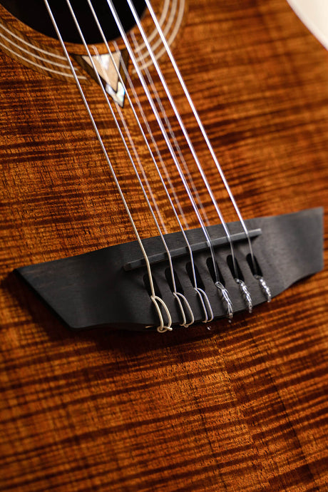 Cort Luxe Nylon Frank Gambale Signature – Massief Blackwood, Nylon Snaren & Fishman Flex Blend