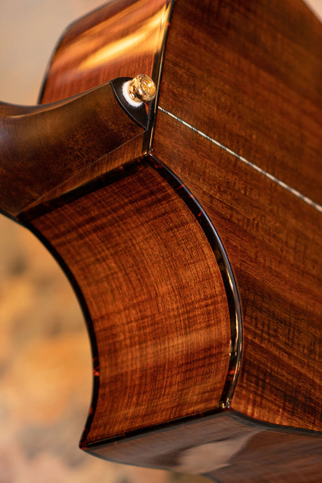 Cort Luxe II Frank Gambale Signature – Massieve Adirondack Top, Flamed Blackwood & Fishman Flex Blend