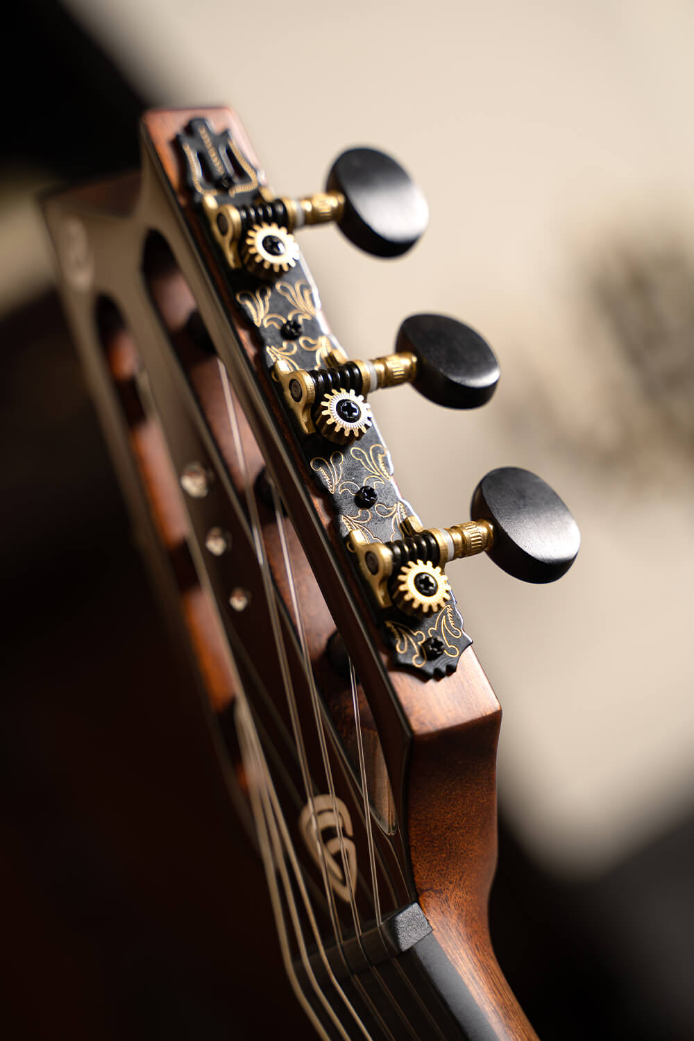 Cort Luxe Nylon Frank Gambale Signature – Massief Blackwood, Nylon Snaren & Fishman Flex Blend
