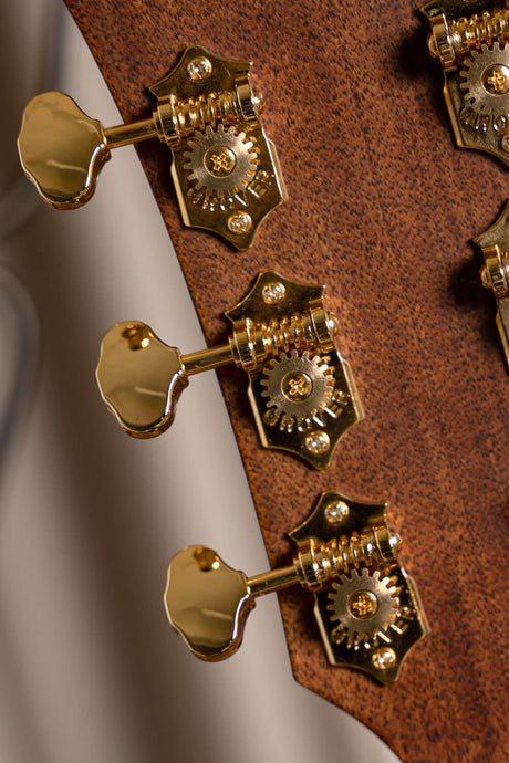 Cort Gold-DC6 – Massief Mahonie, Torrefied Sitka & Fishman Flex Blend