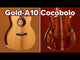 CORT Gold-A10 Cocobolo Grand Auditorium Cutaway tömörfa elektroakusztikus gitár, natúr magasfényű, tokkal