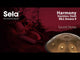 Sela SE 300 rozsdamentes acél handpan Bb2 Amara 440 Hz arany kézzel készített, párnázott hordtáskával