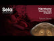 Sela SE 201 Handpan de acero inoxidable D Kurd 440 Hz, hecha a mano, color dorado, con bolsa de transporte acolchada