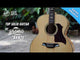 Set de guitarra acústica Bromo BAN7E Danali Series Jumbo con tapa sólida, acabado en poliuretano de alto brillo