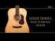 CORT Gold-D6 Dreadnought tömörfa akusztikus gitár, natúr magasfényű, puhatokkal